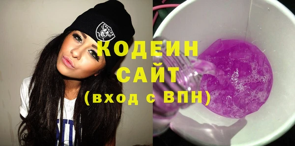шишки Богородицк