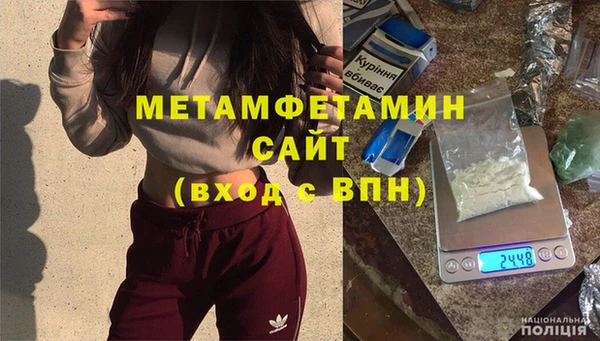 шишки Богородицк