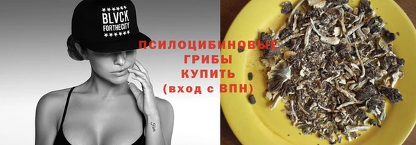 шишки Богородицк