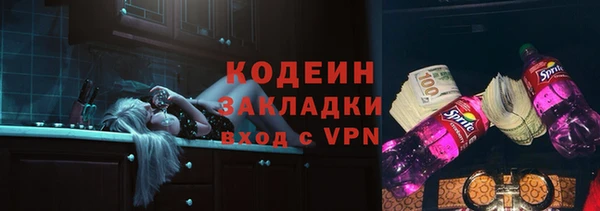 шишки Богородицк