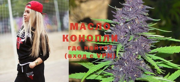 шишки Богородицк