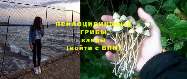 шишки Богородицк
