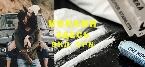 шишки Богородицк